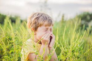 Huiles essentielles et exercices dédiés aux allergies